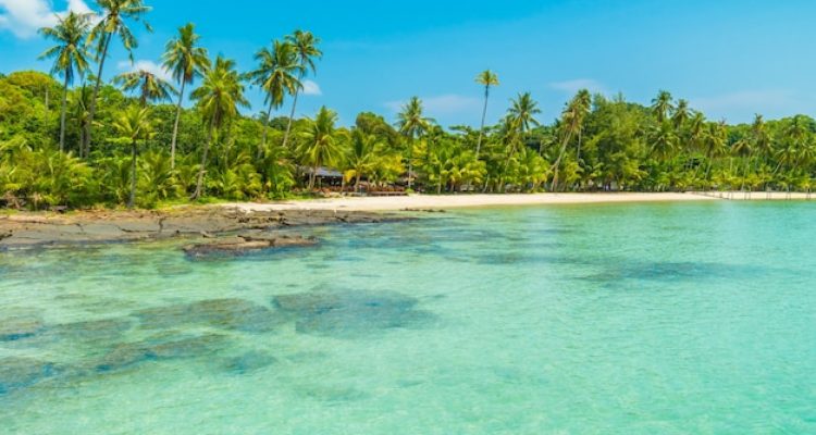 Gastronomie et patrimoine : savourez Tahiti au fil des escales