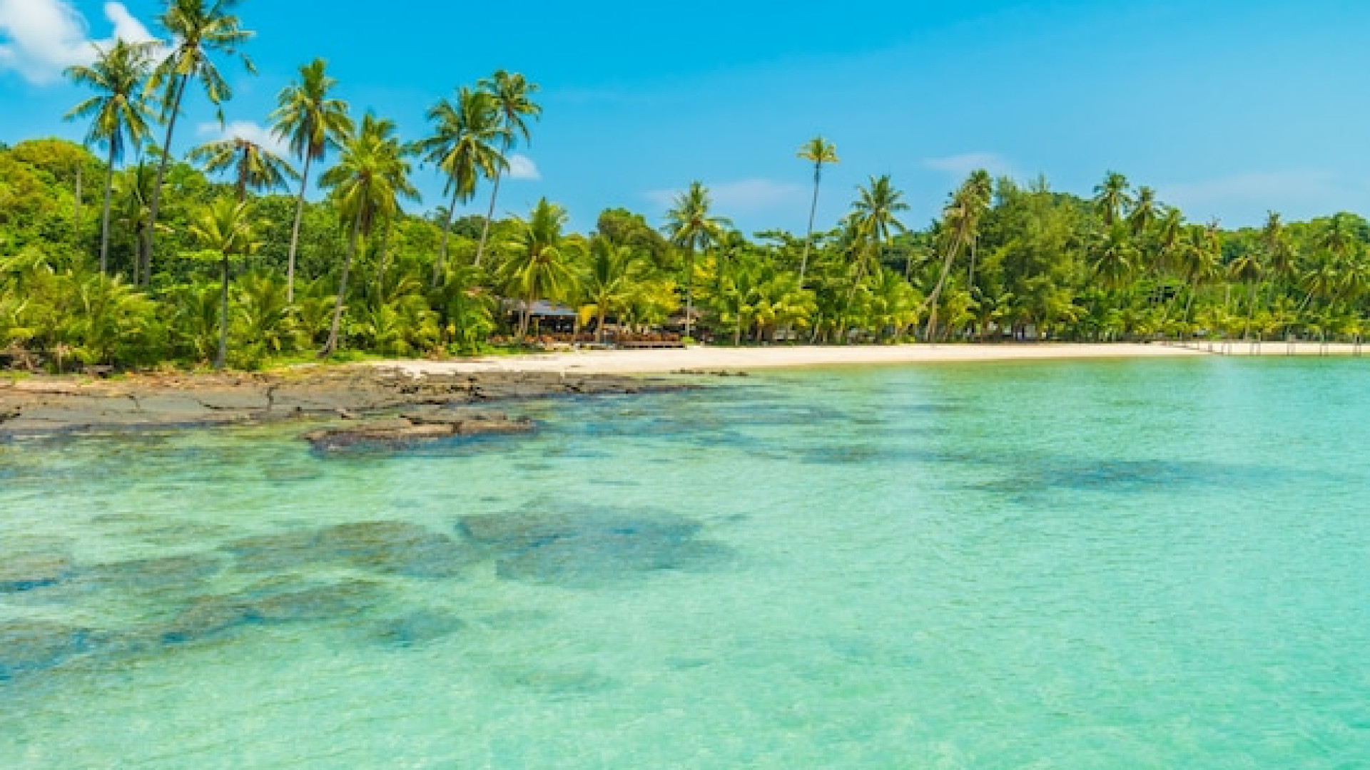 Gastronomie et patrimoine : savourez Tahiti au fil des escales