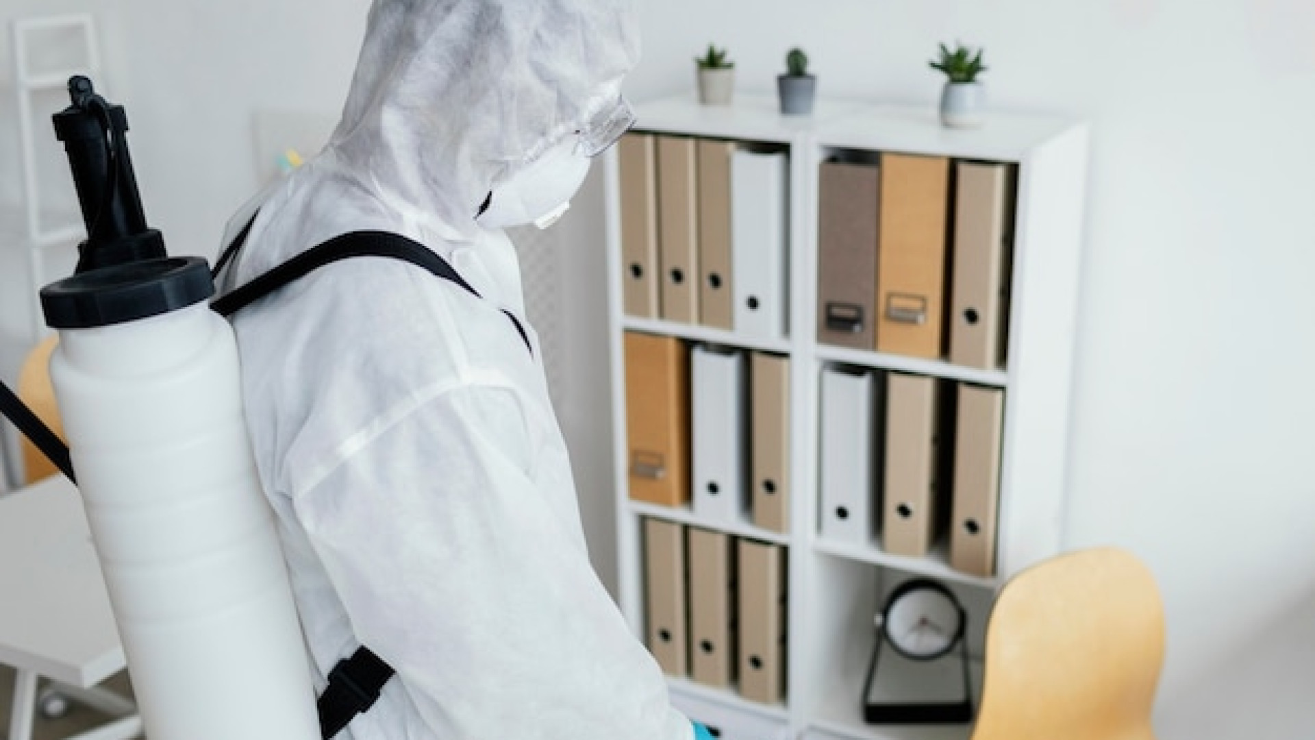 Hygiène et sécurité : l’importance de la désinfection professionnelle à Strasbourg dans l’habitat